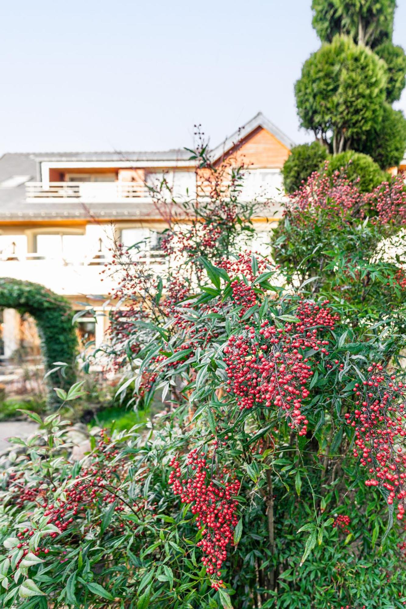 Logis L'Auberge - Maison Glenn Anna Saint Anne-dʼAuray Екстериор снимка